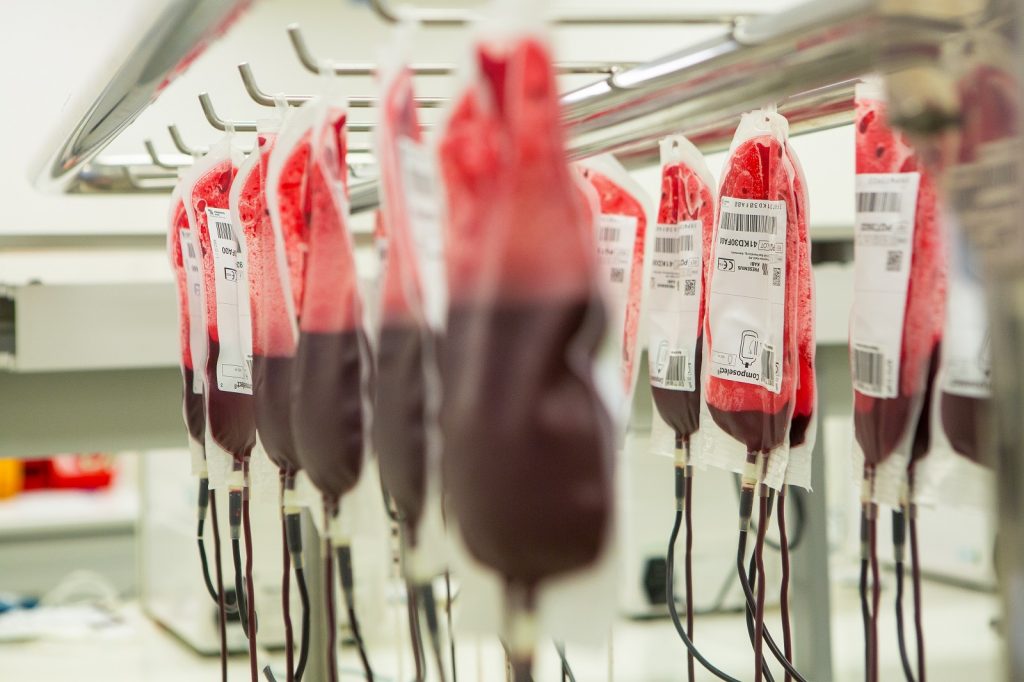 can gay men donate blood marrow